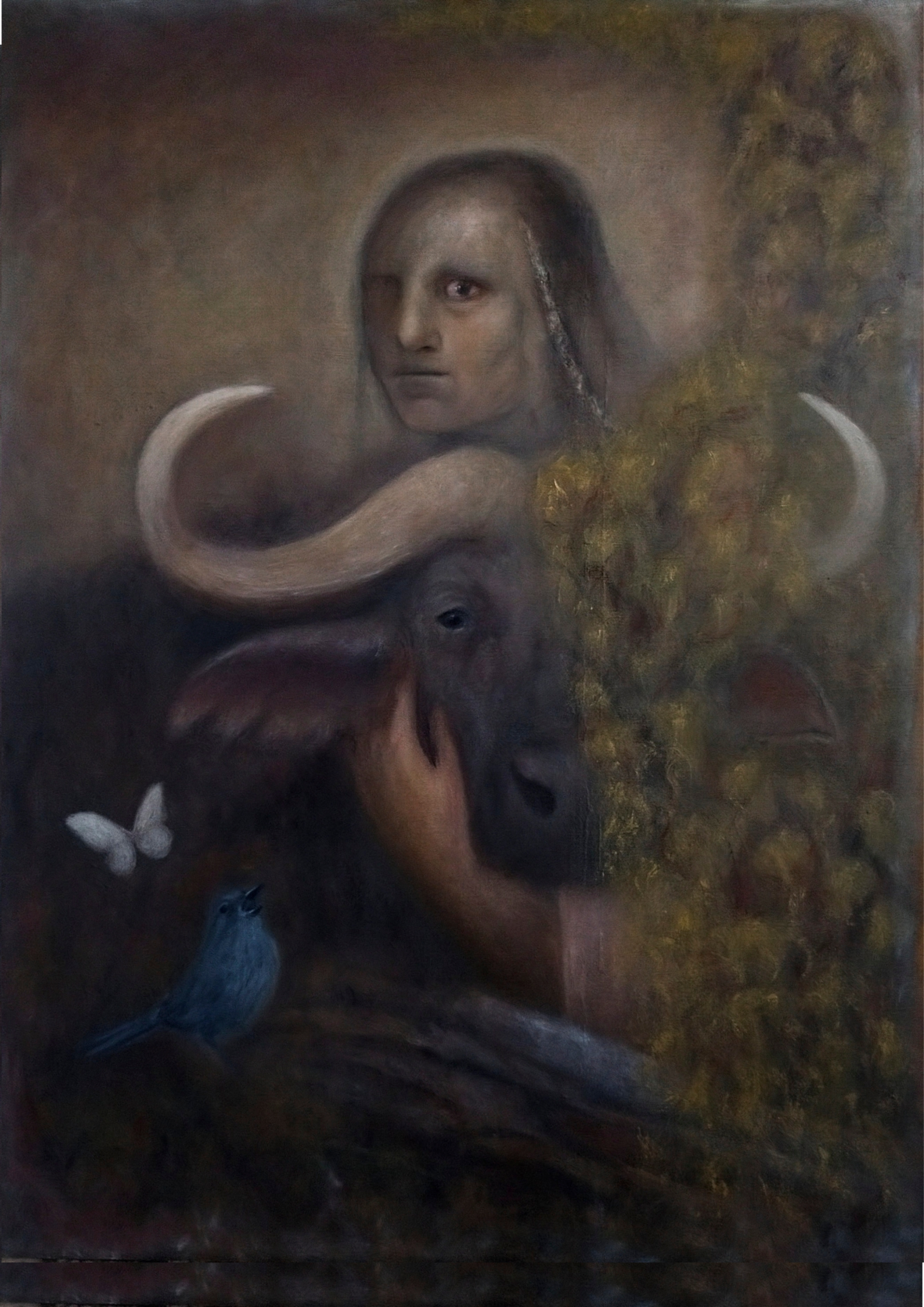 Tapa del libro